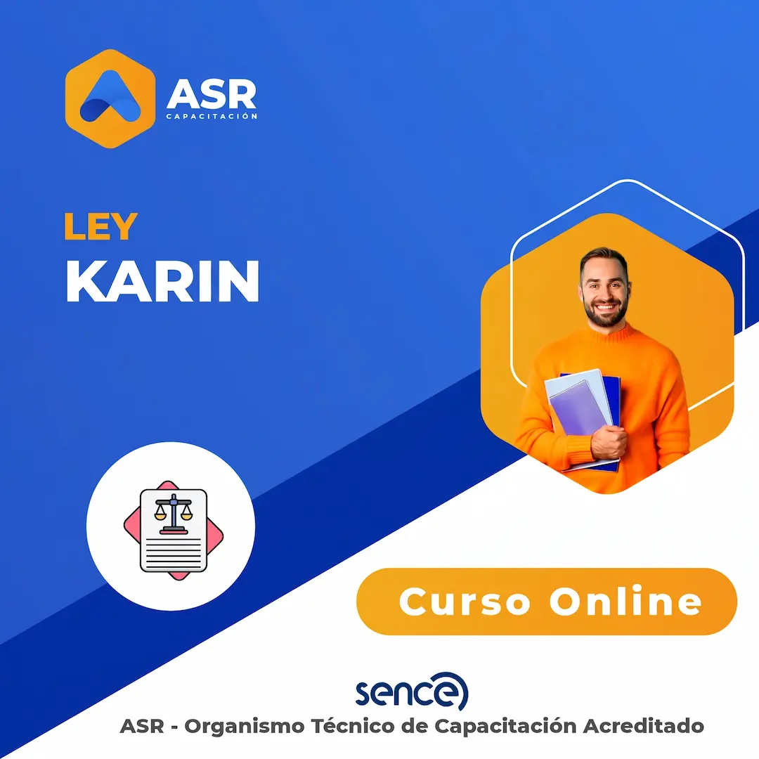 Ley Karin